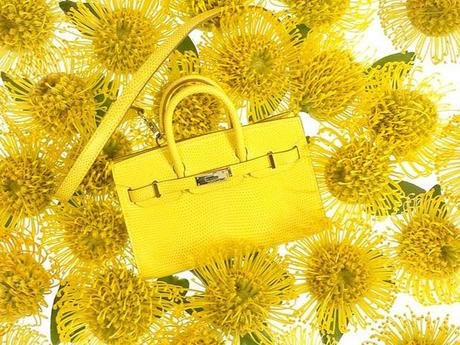 mini-kelly-birkin-hermes-primavera-2012-06