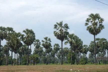 Ubon Ratchathani.