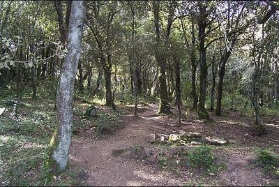 CORRERE A SEDDA ORTAI. LA CASA NELLA ROCCIA.