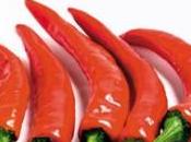 Peperoncino l’inverno
