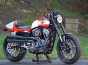 Harley 1200 Storz Performance