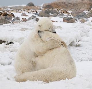 Esegesi di San Valentino (un corollario)