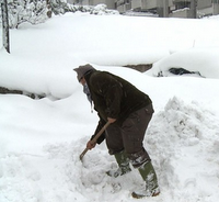 Emergenza neve e previsioni meteo: Marche