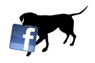 News Eco Vegan Animaliste da Facebook