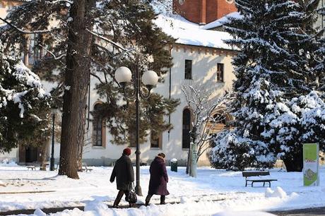 there is no place is like home - Vercelli : an intro to its treasures and its food