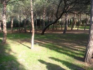 Uomo scompare a Gonnessa Continuano le ricerche