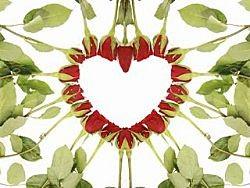 San Valentino,regalati 15 milioni di fiori