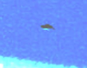 Avvistato ufo a forma di disco volante a Bari vicino ad un aereo in volo
