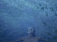 Per San Valentino vi proponiamo Se fosse per sempre di Tara Hudson - Editrice Nord