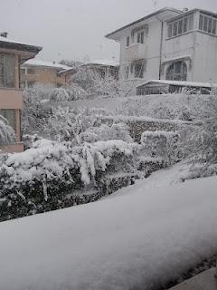 Neve neve basta neveeeeeeee!!!!!!!!