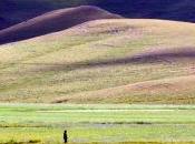 Fermati oggi questa notte, impadronirai dell'origine tutti poemi