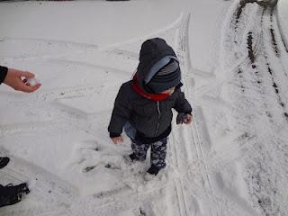 LA PRIMA NEVE