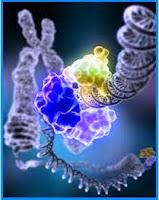 Visualizzazione Molecolare Del DNA In Un Filmato