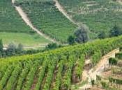 Voglia Monferrato? sono escursioni “Genius Loci”