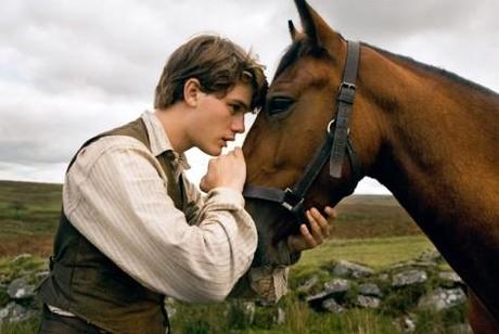 War Horse – cavallo da guerra