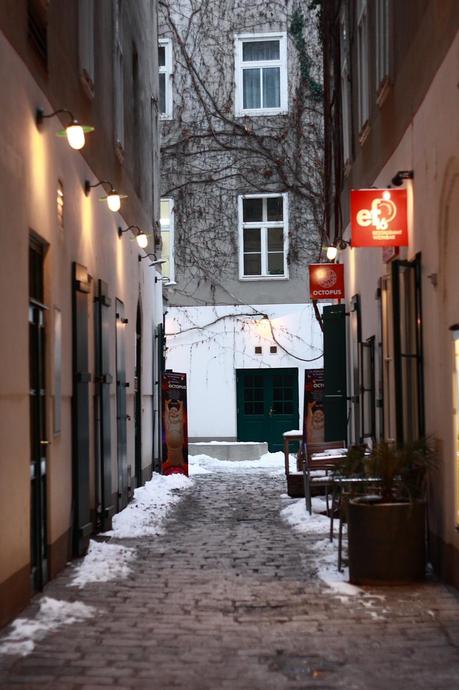 white and silent Vienna