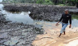 La devastazione del Delta del Niger