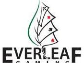 Quale destino fondi network Everleaf Gaming?