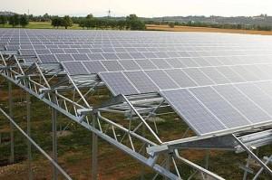 Narbolia Come evitare la costruzione di serre fotovoltaiche