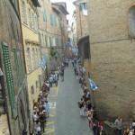 Siena Palio casato di sopra
