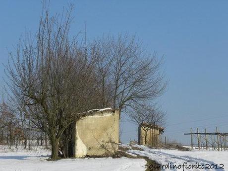 Un cavolo un’oca un gatto. La campagna, la neve