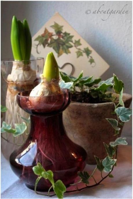 antichi vasi per giacinti: Shabby Chic on Friday