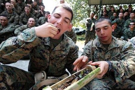 cobra gold 6 Marines, ingoiano sangue di cobra. FOTO