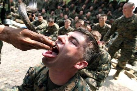 cobra gold 2 Marines, ingoiano sangue di cobra. FOTO