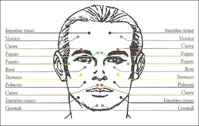 Vi fidate della Fisiognomica? Com'è il vostro volto? Si può davvero prevedere l'avvenire di un idividuo dal suo volto? Se ne possono carpire i segreti?