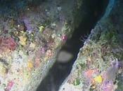 Concordia instabile: appoggiata speroni roccia, quali molto lesionato