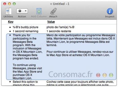 Messages compatibile solo per OS X Montain Lion.