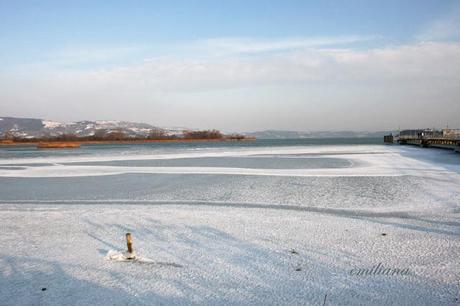 Il Lago Trasimeno ghiacciato