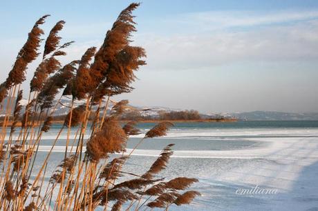 Il Lago Trasimeno ghiacciato