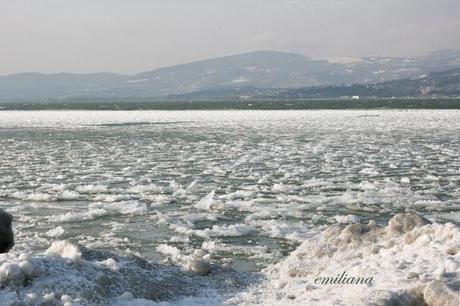 Il Lago Trasimeno ghiacciato