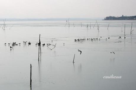 Il Lago Trasimeno ghiacciato