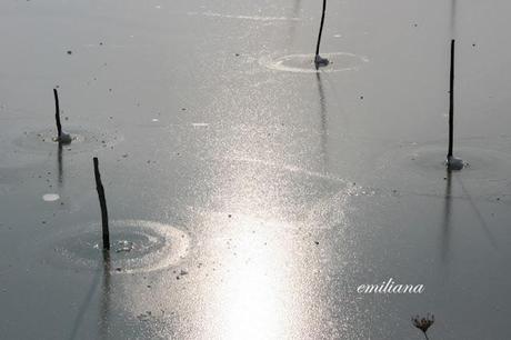 Il Lago Trasimeno ghiacciato