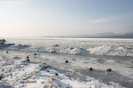 Il Lago Trasimeno ghiacciato