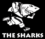 Verso il Super Rugby: gli Sharks azzannano i Kings (38-13)
