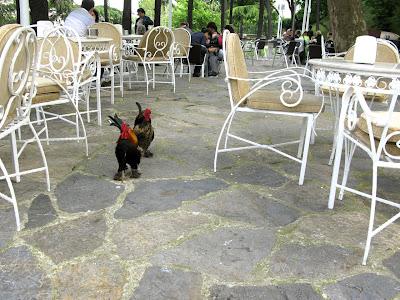 Un kofte in compagnia, Istanbul