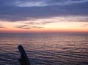 Barca capovolta mare terra nuoto