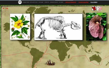 Risorse Per Lo Studio Dell'Evoluzione