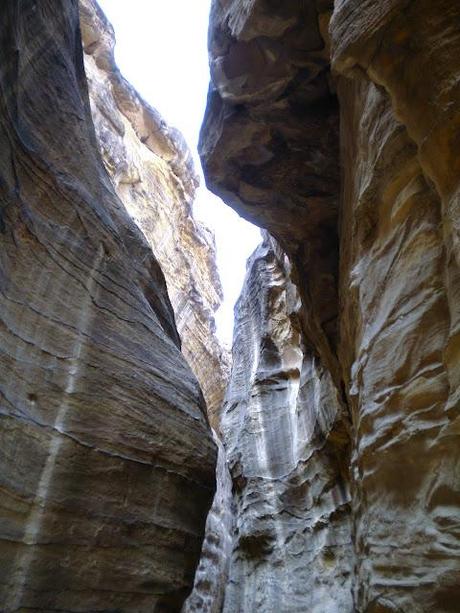 PETRA UN SOGNO ROSA