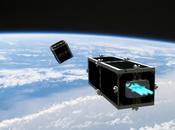 satellite spazzino