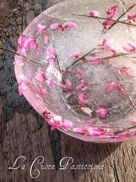 Bowl di ghiaccio d'acqua di neve con ginestra rosa