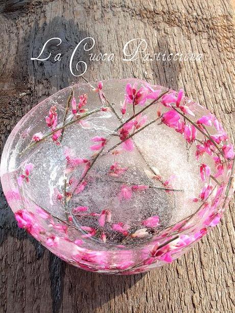 Bowl di ghiaccio d'acqua di neve con ginestra rosa