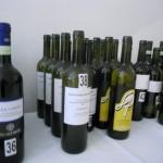 Anteprima Vernaccia, San Gimignano 2012 , produttori, vino 022