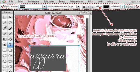 Watermark fai da te con uno splendido tool online e gratuito, TUTORIAL