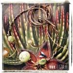 avatar-collare2-1129