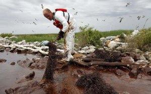 Che fine ha fatto la marea nera del Golfo del Messico?