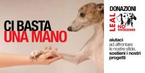 Nuova normativa EU contro la VIVISEZIONE ma è un bene per gli animali?